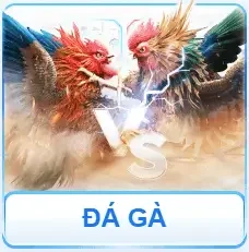 da-ga-fb88